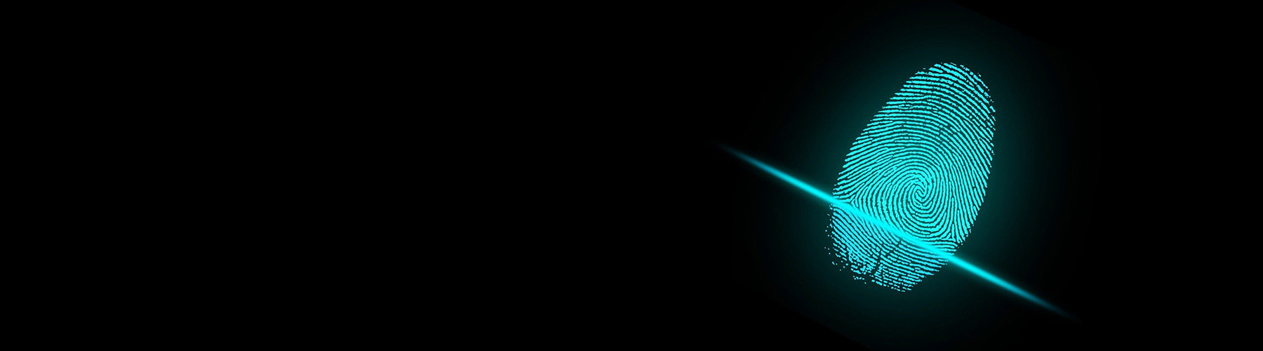 DISTF Legislation Digital Identity New Zealand