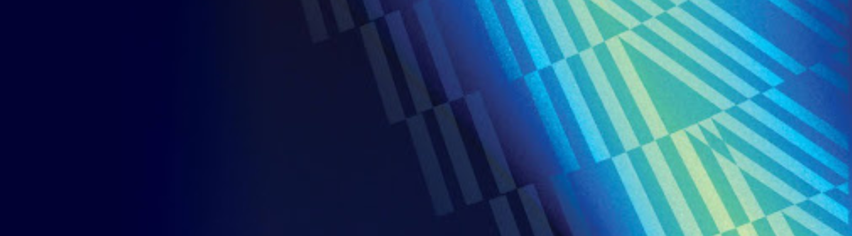 Introductory Statement – Chair of the Executive Council, Digital Identity NZ